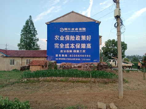 施甸墙体广告为何受追捧？